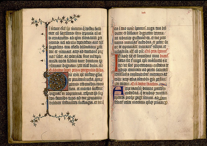 Pontifical à l'usage de Senlis - Initiale ornée_1