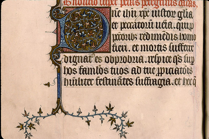 Pontifical à l'usage de Senlis - Initiale ornée