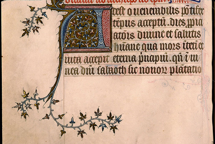 Pontifical à l'usage de Senlis - Initiale ornée