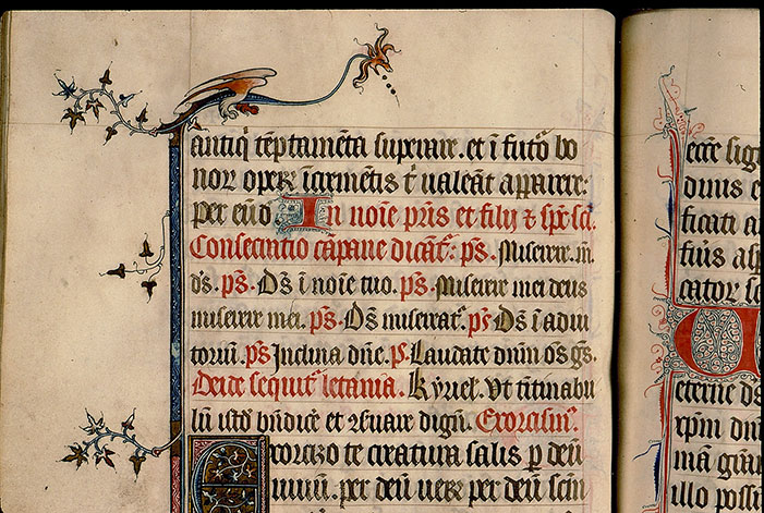 Pontifical à l'usage de Senlis - Hybride zoomorphe