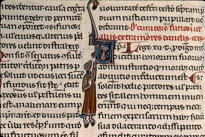 Infortiatum - Hybride anthropomorphe/Hybride zoomorphe