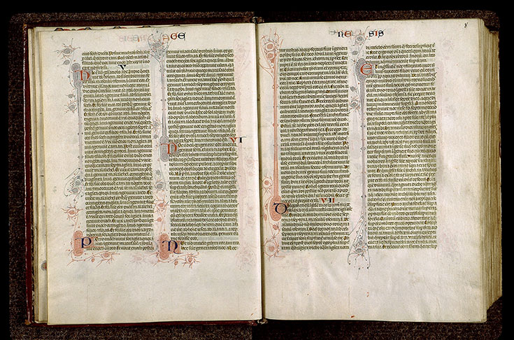 Bible - Initiale filigranée_1