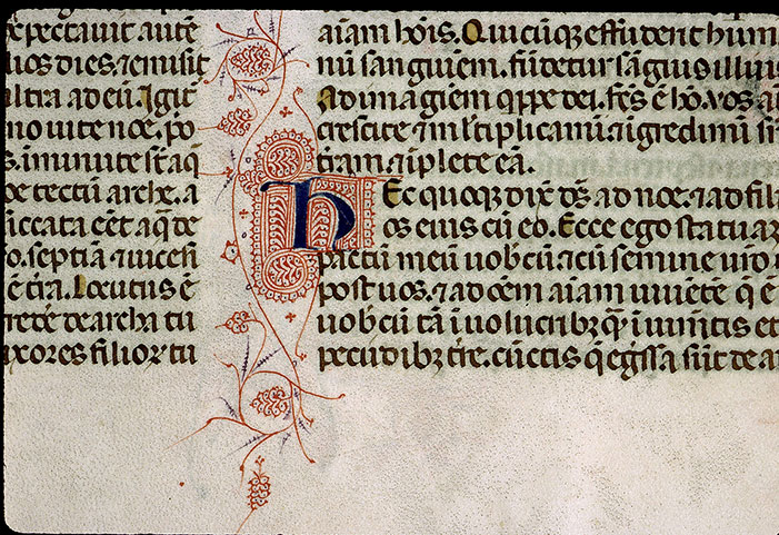 Bible - Initiale filigranée
