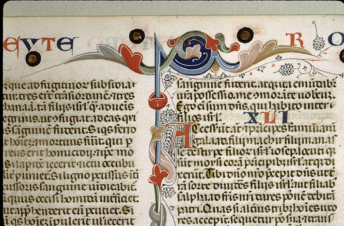 Bible - Page décorée