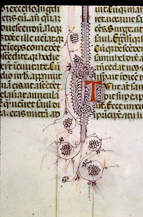 Bible - Initiale filigranée