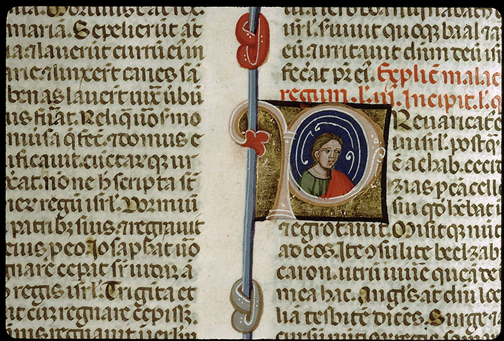 Bible - Homme