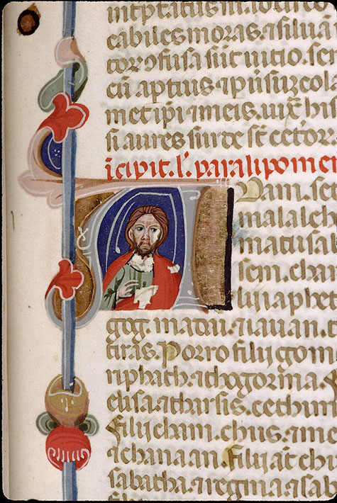 Bible - Homme
