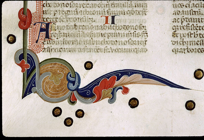 Bible - Page décorée