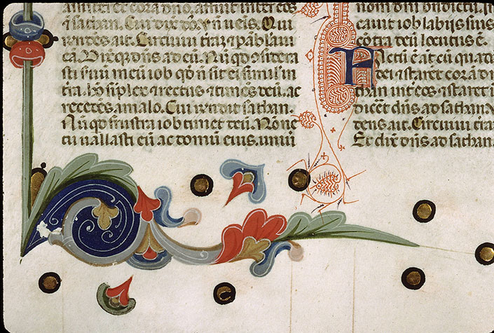 Bible - Page décorée
