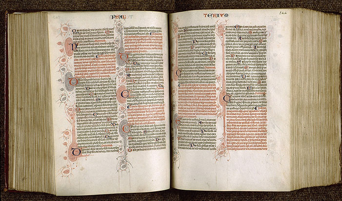 Bible - Initiales filigranées