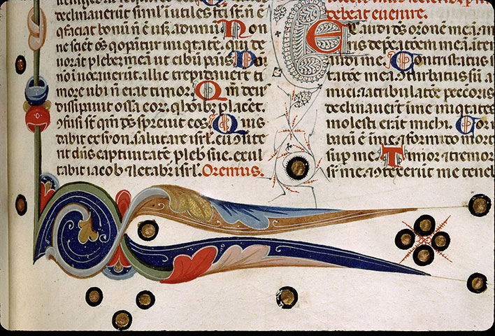 Bible - Page décorée
