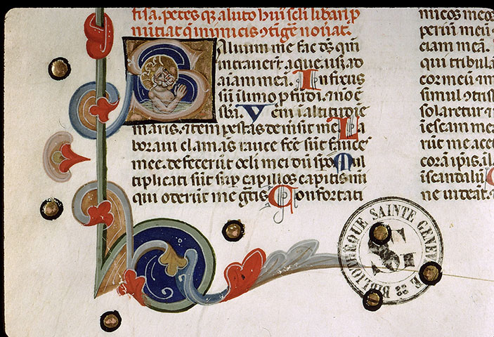 Bible - David dans les eaux du désespoir