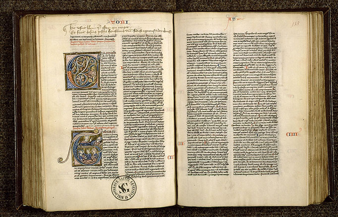 Bible - Guérison de Tobit/Tobit aveugle et Anna_1