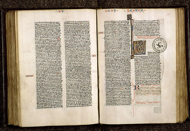 Bible - Hybride anthropomorphe_1