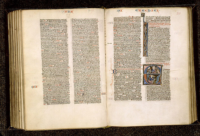 Bible - Hybride zoomorphe_1