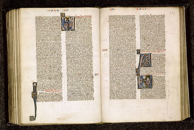 Bible - Hybride zoomorphe_1