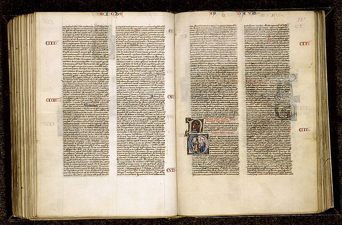 Bible - Singe mangeant un fruit_1