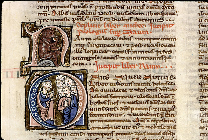 Bible - Singe mangeant un fruit