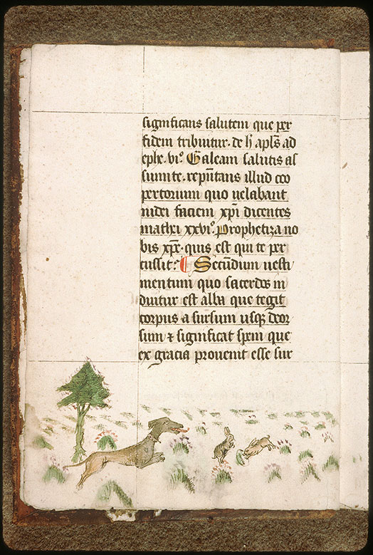 Speculum ecclesiae - Chien et lapins dans la campagne_1