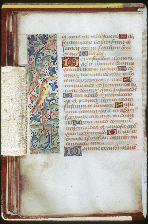 Heures - Oiseau et fleurs
