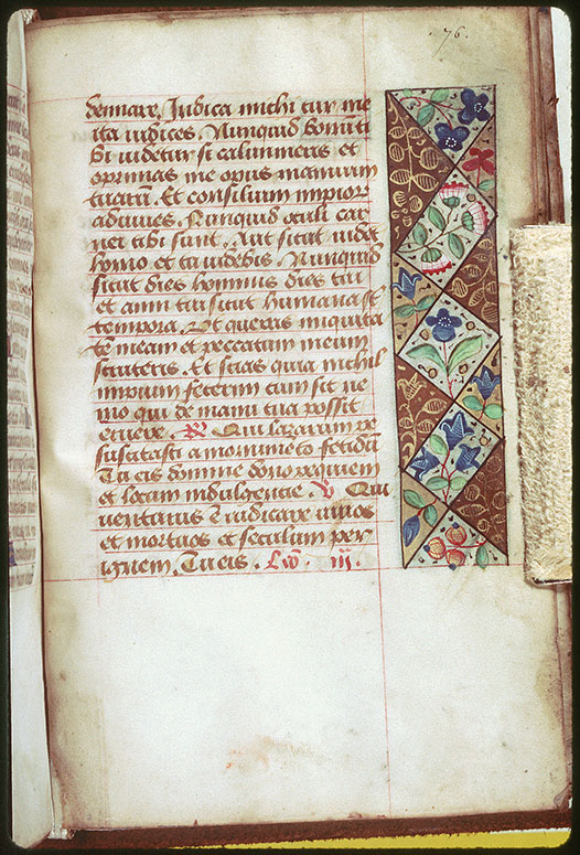 Heures - Fleurs