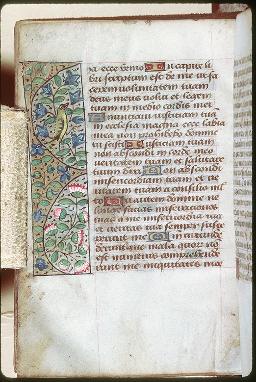 Heures - Oiseau et fleurs