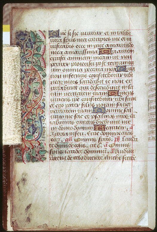 Heures - Oiseau et fleurs