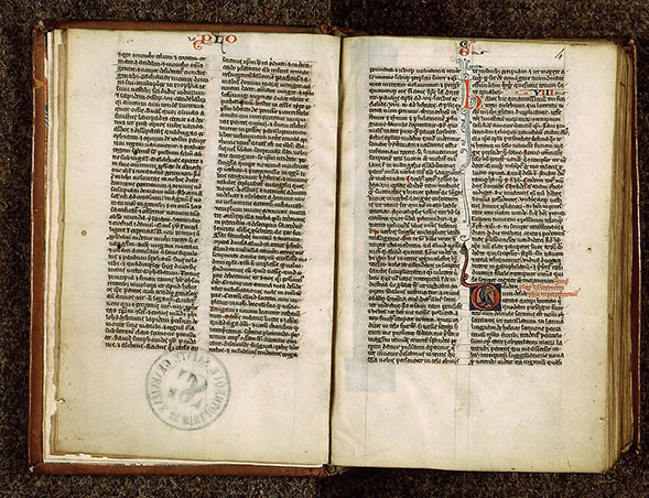 Bible - Oiseau_1