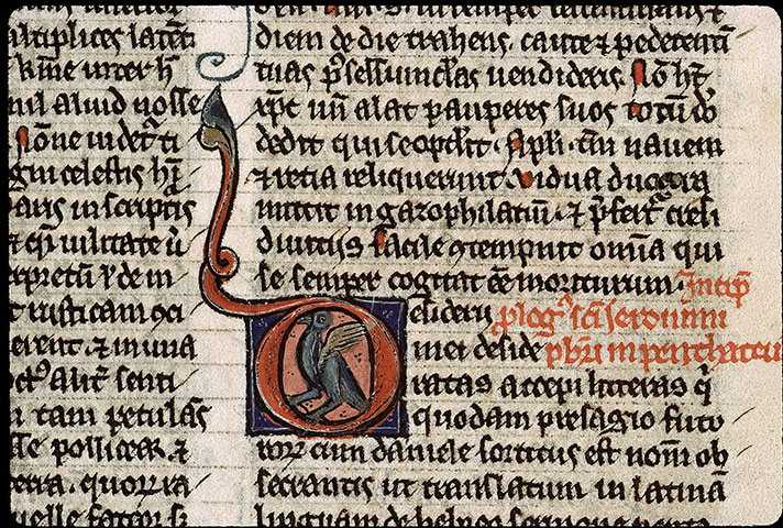 Bible - Oiseau