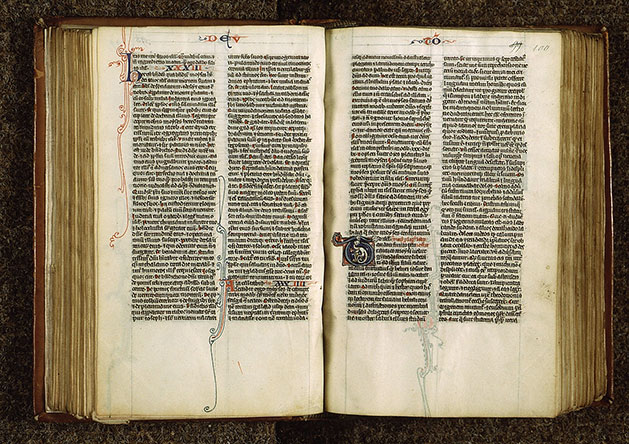 Bible - Hybride zoomorphe_1