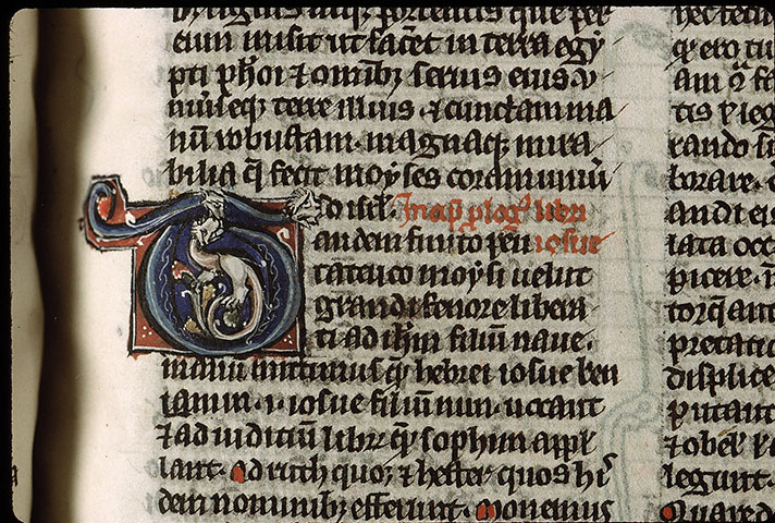 Bible - Hybride zoomorphe