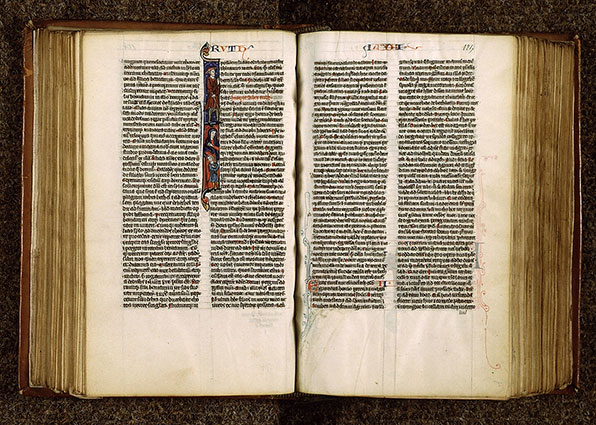 Bible - Elimélek et sa famille en voyage_1