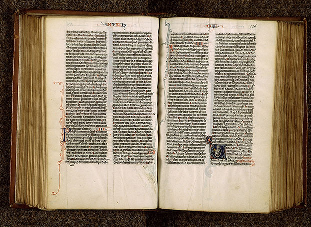 Bible - Hybride zoomorphe_1