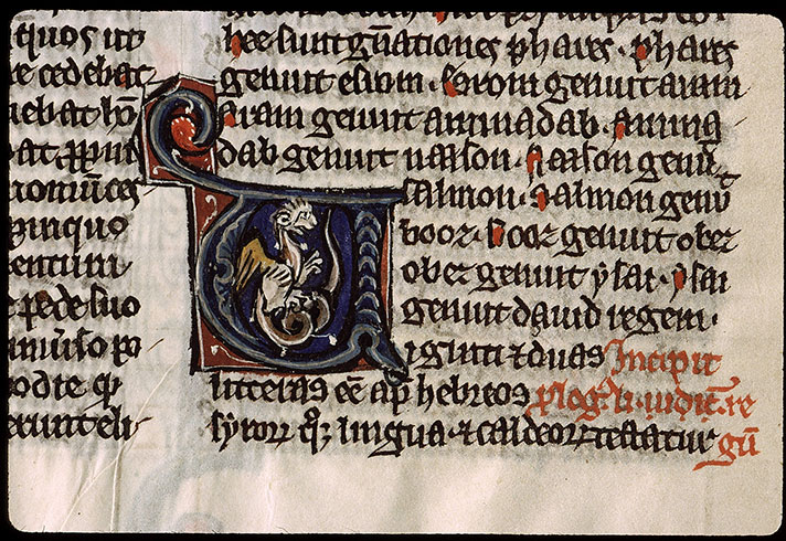 Bible - Hybride zoomorphe