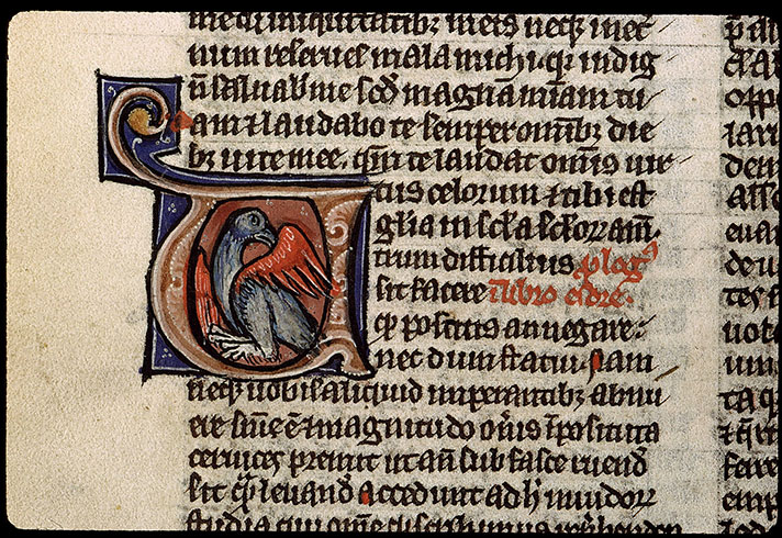 Bible - Aigle