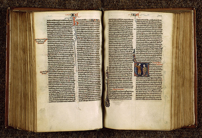 Bible - Oiseau et hybride zoomorphe_1