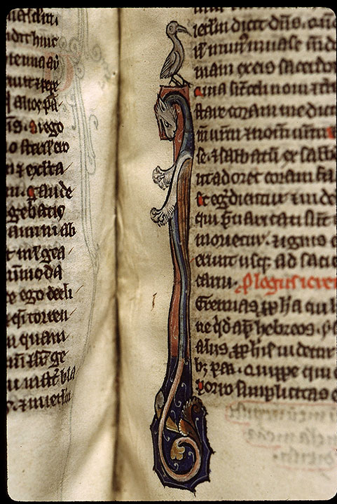Bible - Oiseau et hybride zoomorphe