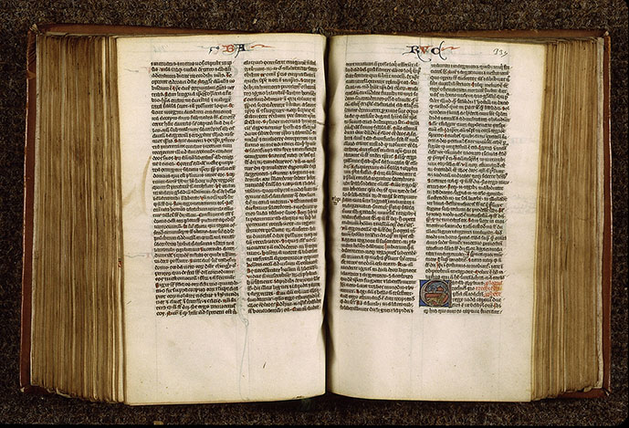 Bible - Lions_1