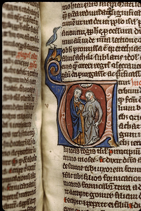 Bible - Osée et Gomer