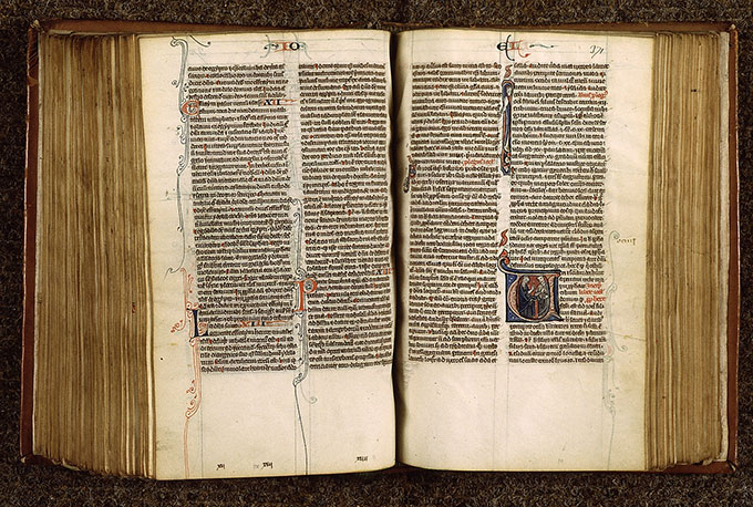Bible - Joël s'adressant à un Israélite_1
