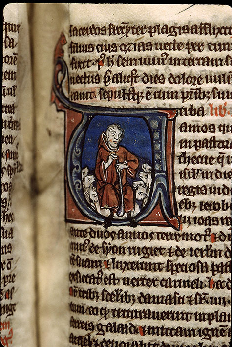 Bible - Amos et son troupeau
