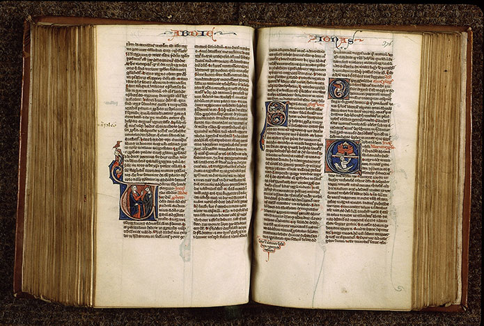 Bible - Abdias s'adressant à un Israélite_1