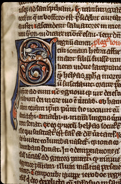 Bible - Hybride zoomorphe