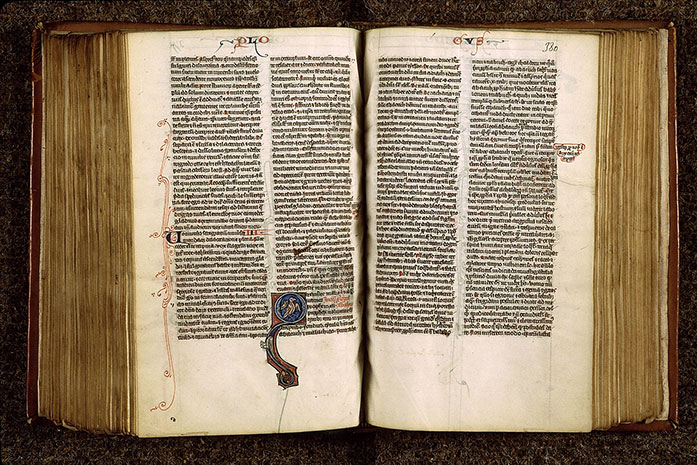 Bible - Oiseaux_1