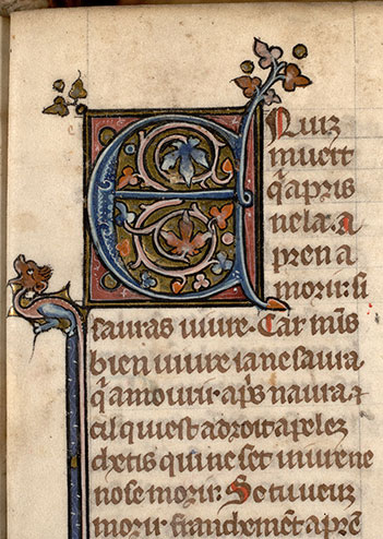 Somme le Roi - Initiale ornée
