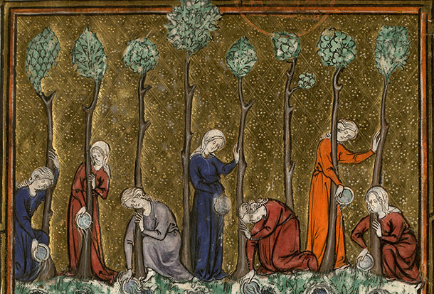 Somme le Roi - Jardin des vertus (Le)_1