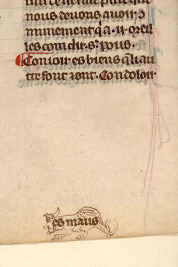 Somme le Roi - Hybride anthropomorphe