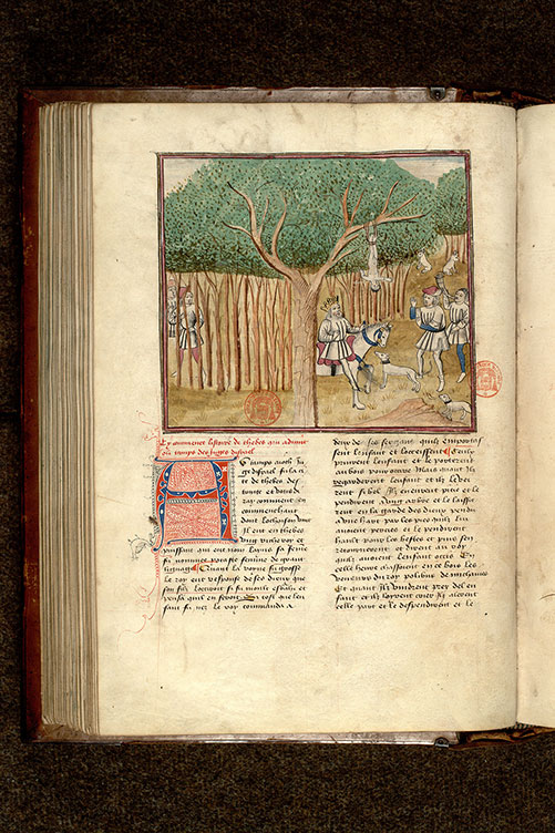 Fleur des histoires - Polybos trouvant Oedipe attaché à un arbre_2