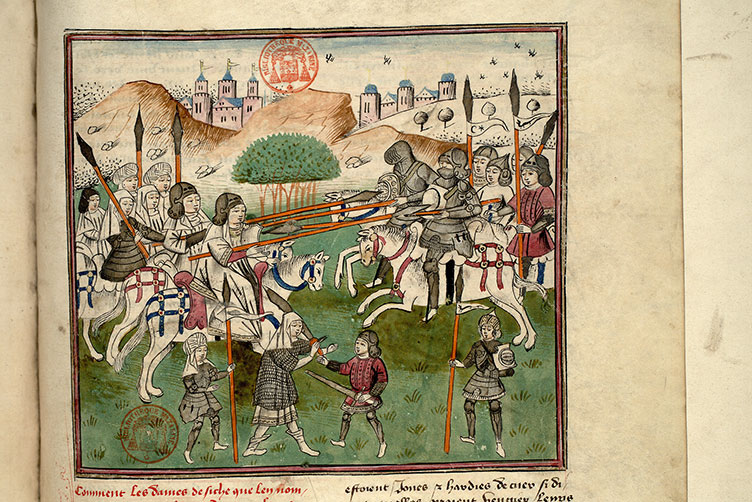 Fleur des histoires - Combat des Amazones
