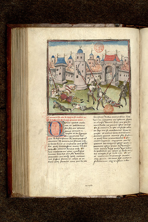 Fleur des histoires - Incendie de Troie et mort de Priam_2